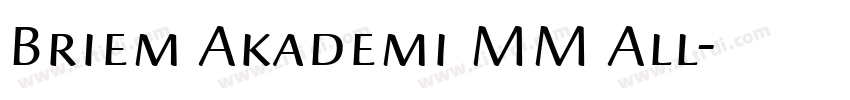 Briem Akademi MM All字体转换